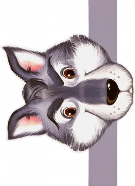 Мордочка волка для маски