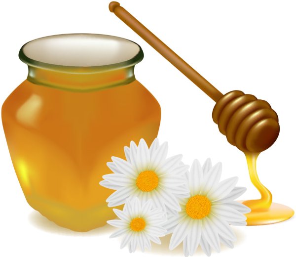 Мед на прозрачном фоне