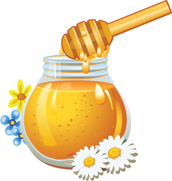 Мед рисунок