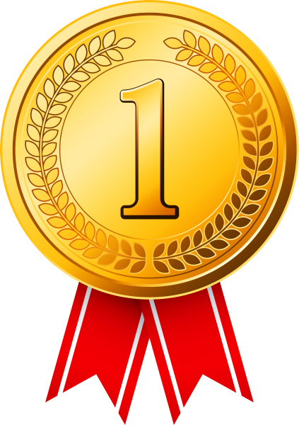 Золотая медаль 1 место