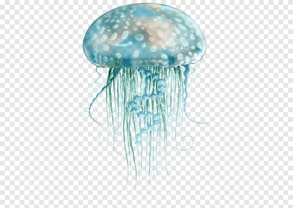 Медуза на прозрачном фоне