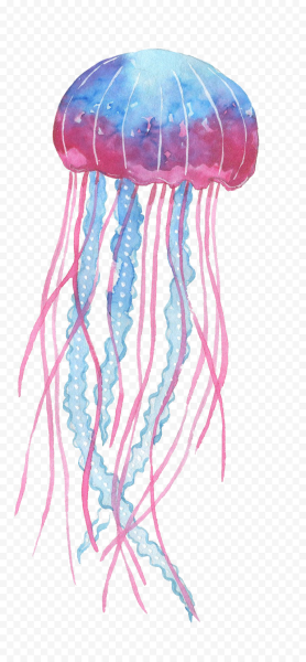 Медуза на белом фоне