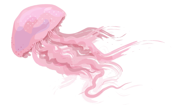 Розовая медуза