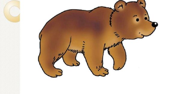 Медведь рисунок для детей