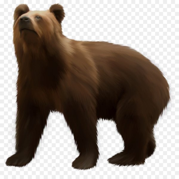 Медведь без фона