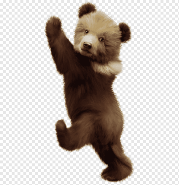 Медвежонок без фона