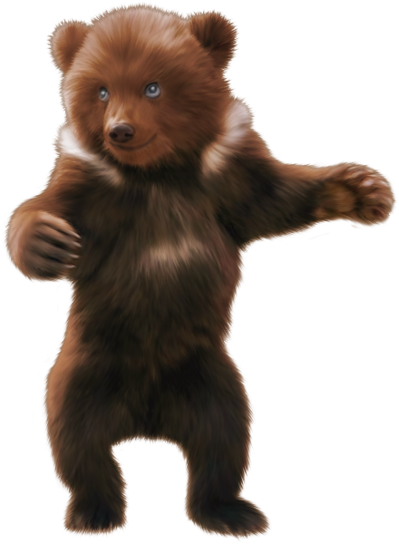 Медведь на прозрачном фоне