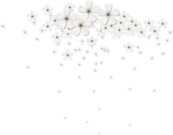 Мелкие цветочки на прозрачном фоне