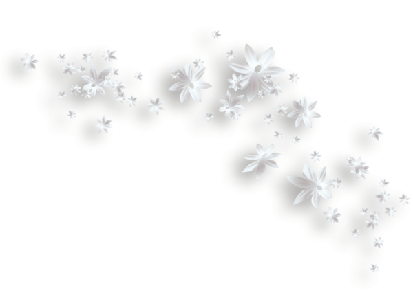 Россыпь цветов на прозрачном фоне