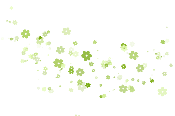 Цветы на прозрачном фоне для фотошопа