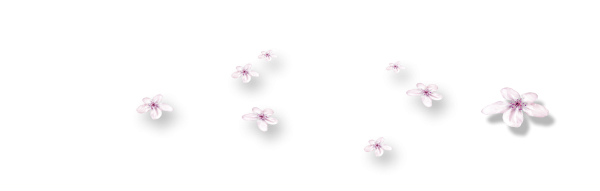 Мелкие цветочки на прозрачном фоне