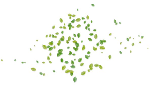 Лепесток зеленый