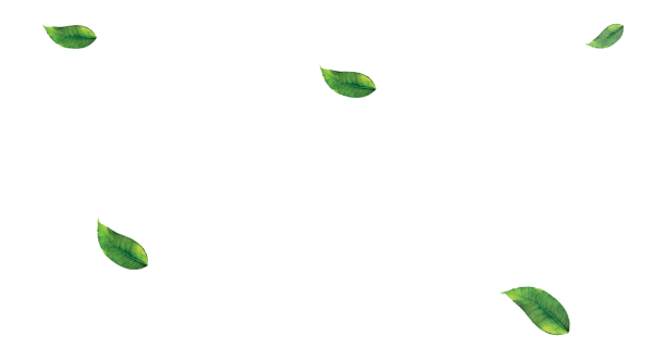 Падающие листья зеленые