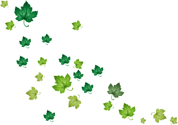 Мелкие листочки на прозрачном фоне