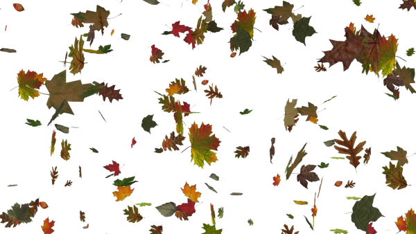 Падающие листья на прозрачном фоне
