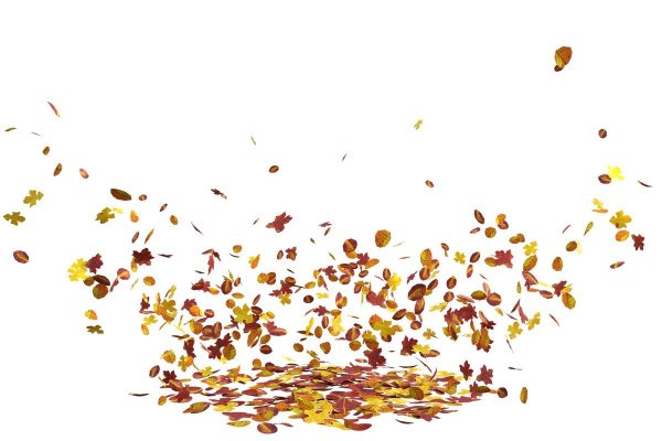 Падающие листья