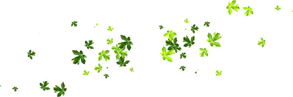 Мелкие листья на белом фоне