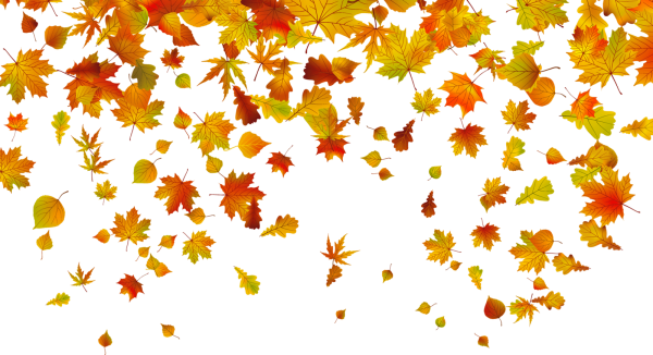 Осенние листья на прозрачном фоне