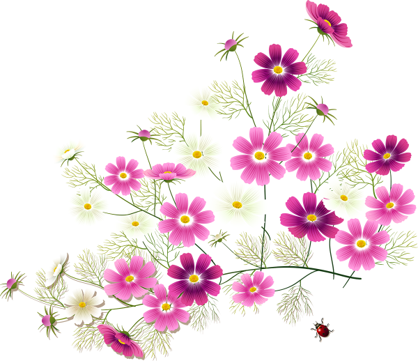 Мелкие цветы клипарт