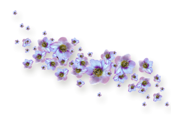 Мелкие цветы на прозрачном фоне