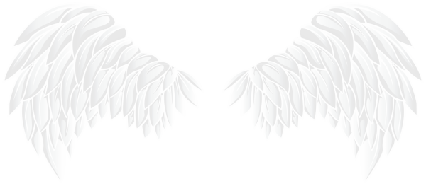 Белые Крылья на прозрачном фоне