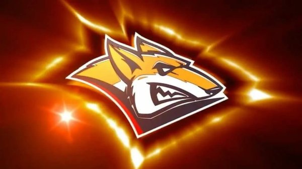 Эмблема Металлург Магнитогорск хоккейный клуб