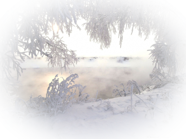 Метель на белом фоне