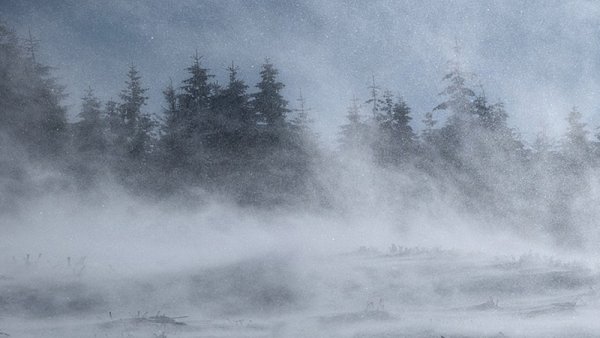 Снежная буря без фона