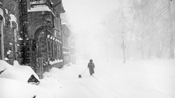 Метель в городе