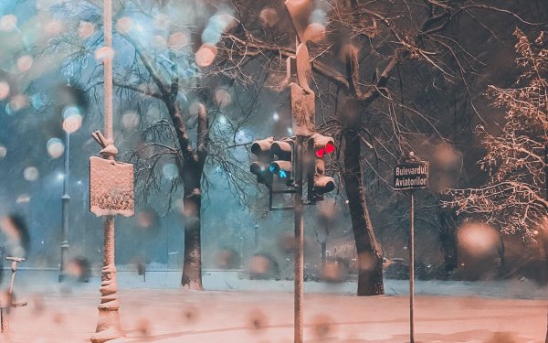 Светофор в снегопаде