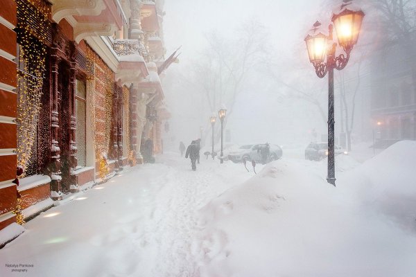Метель в городе