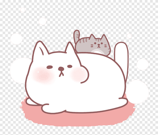 Милый котик на прозрачном фоне