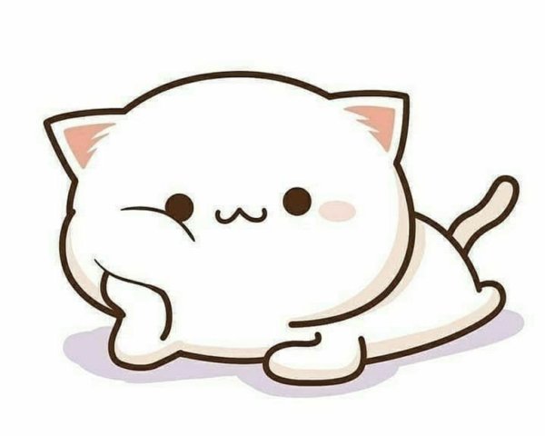 Стикер котик белый