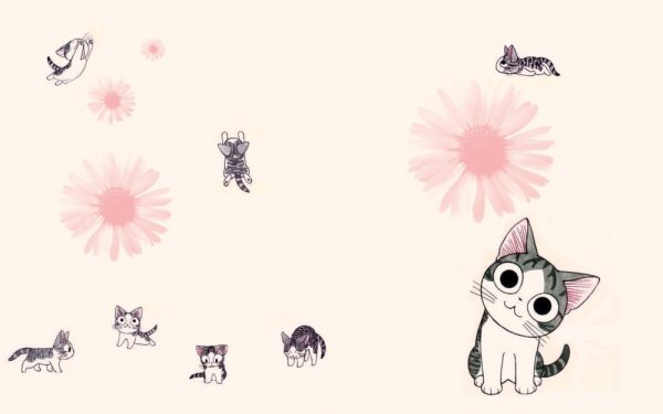 Милые обои котенок Чии