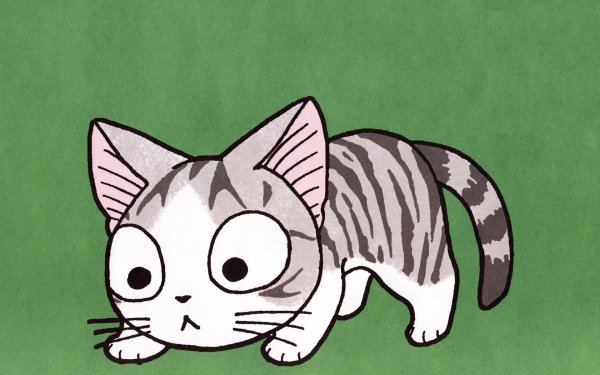 Милый дом Чии котенок