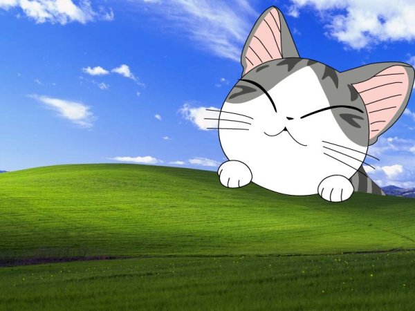 Чии милый дом Чии