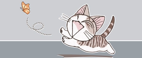 Обои с котиком чи