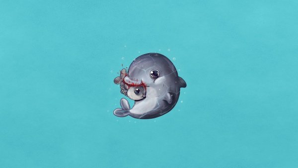 Дельфины Минимализм