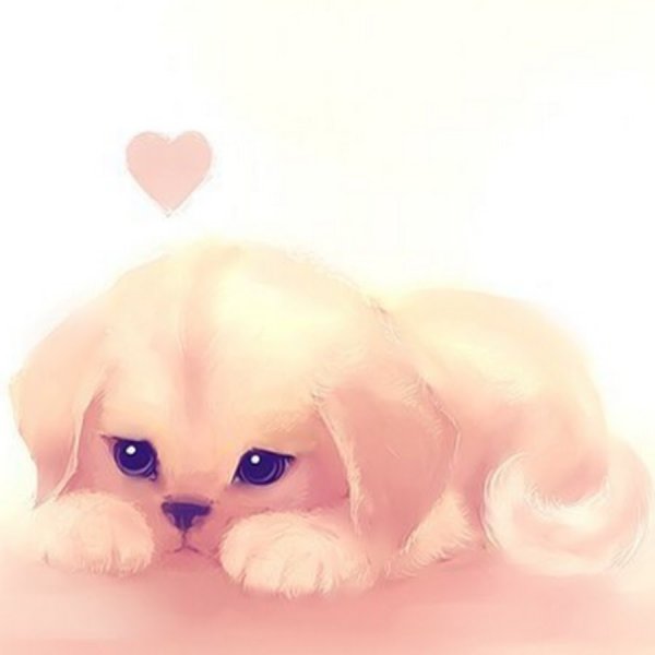 Очень милые собачки