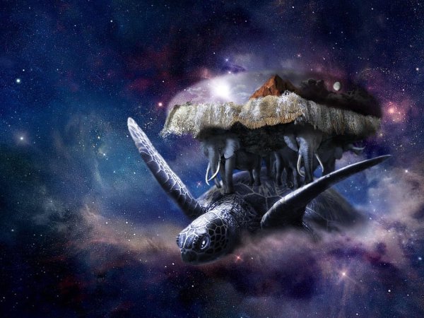 Космическая черепаха Терри Пратчетт