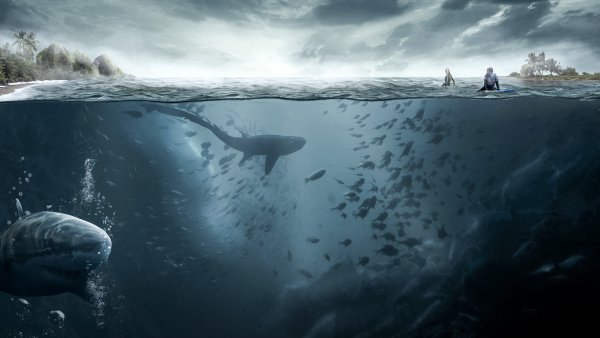 Кит под водой