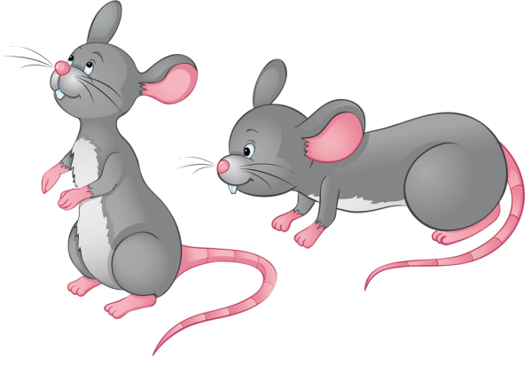 Мышь для дошкольников