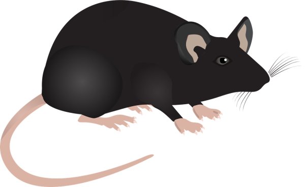 Крыса мультяшный