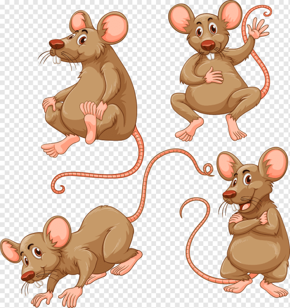 Мышка в разных позах