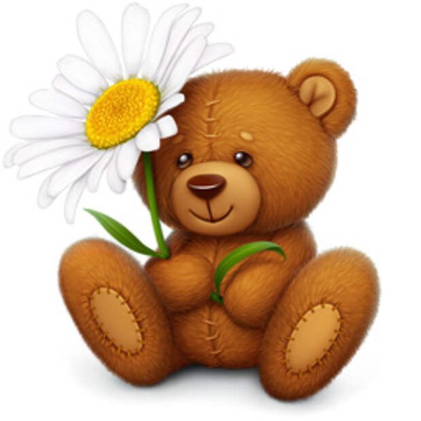 Медвежонок с ромашками