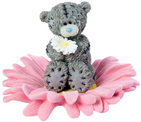 Мишка Тедди с ромашкой