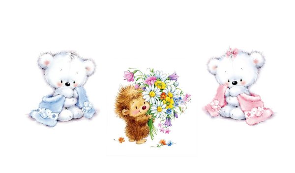 Мишка с цветами на белом фоне