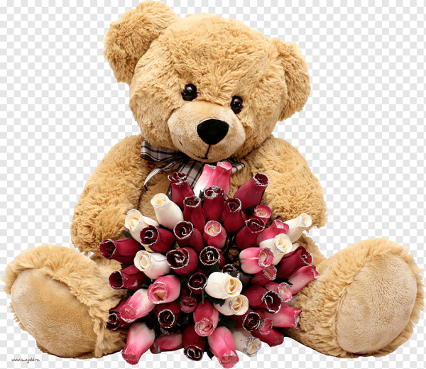 С днём рождения Медвежонок