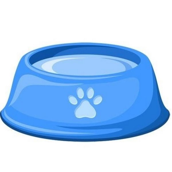 Миска с водой