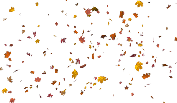 Листья летят